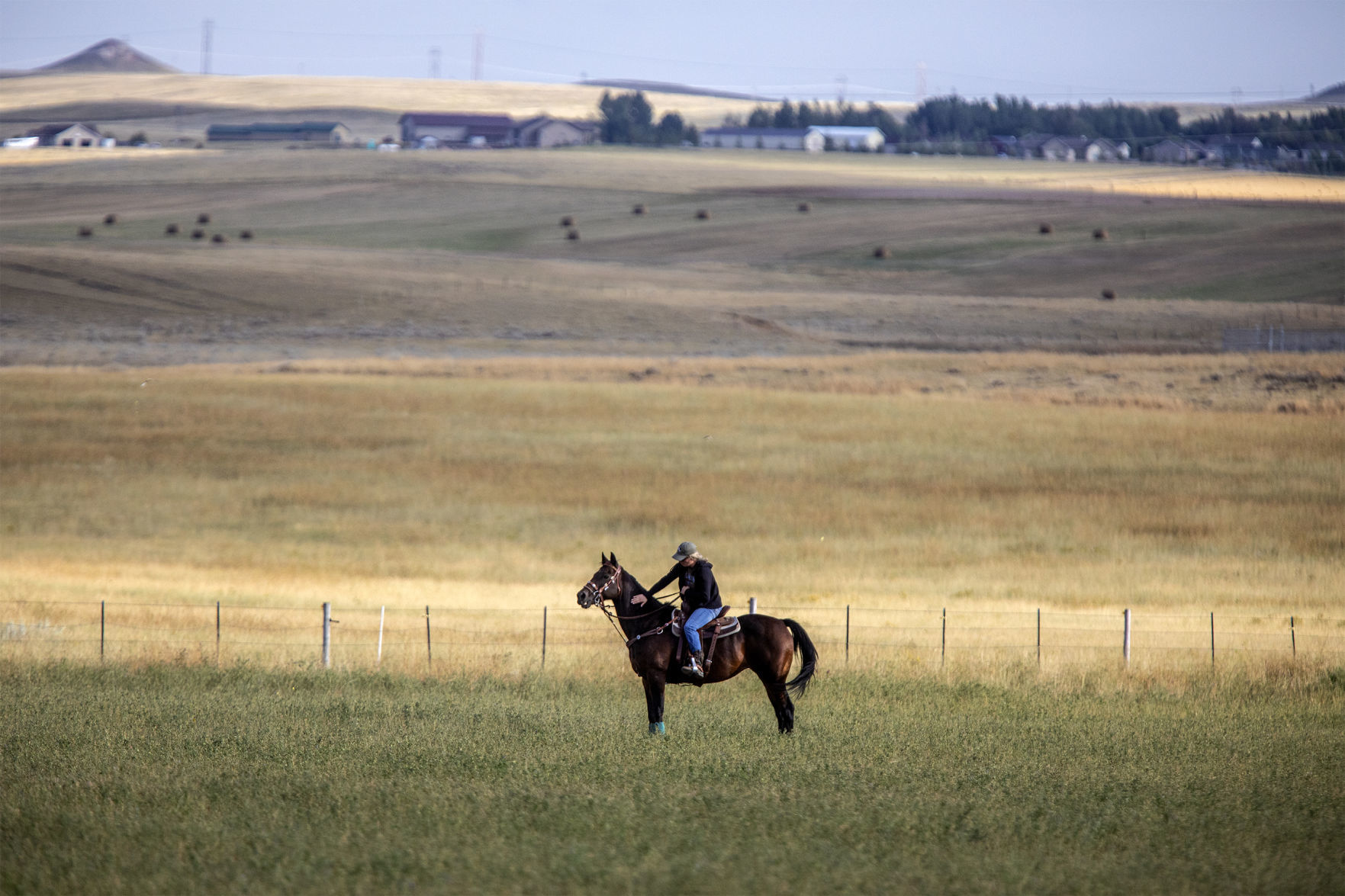An evening trot